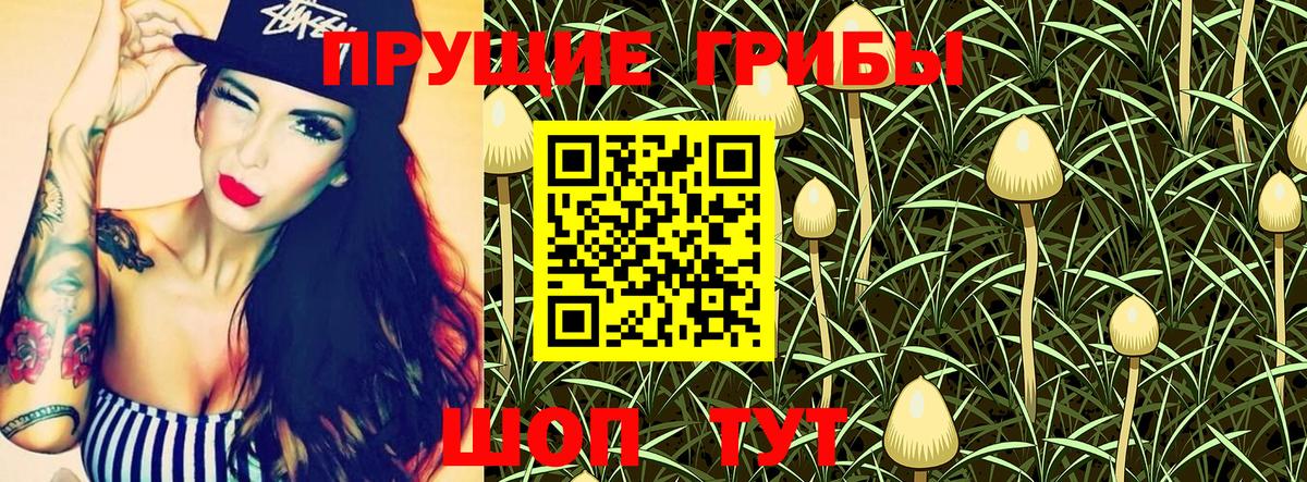 Галлюциногенные грибы Psilocybine cubensis  Вход с VPN  Домодедово 